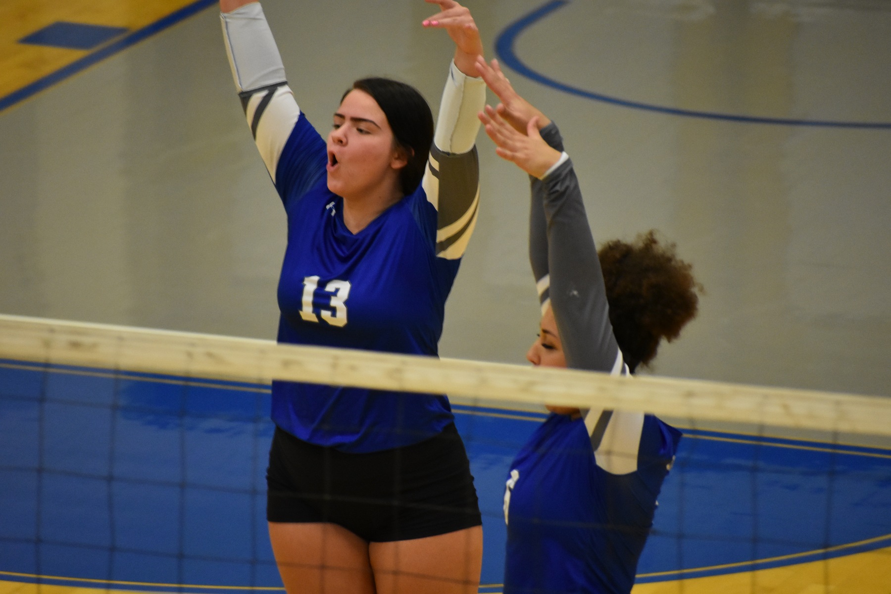 Lakers volleyball sweeps Hawks